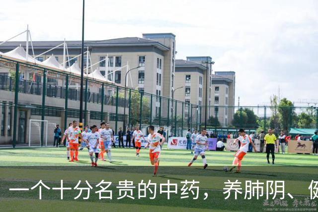 一个十分名贵的中药，养肺阴、健脾胃、补肾精，还对糖尿病有疗效